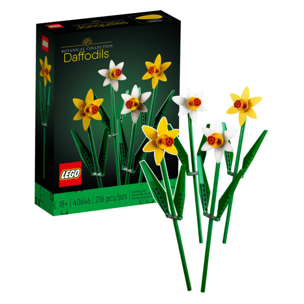 ▻ New LEGO 2023: A postcard, daffodils, decoration and a piñata